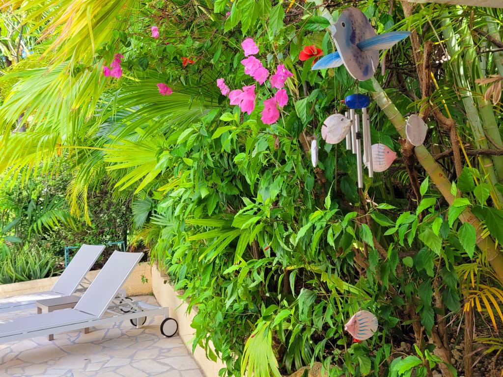 Location villa KAZ A BAR - avec piscine privative - pour 4 personnes à Saint-François en Guadeloupe