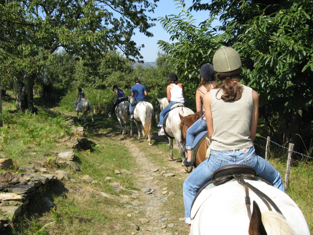 Chambres d'hôtes Idiartekoborda au coeur de la montagne basque à 5 mn du village, chambre  "RIHIVELI"