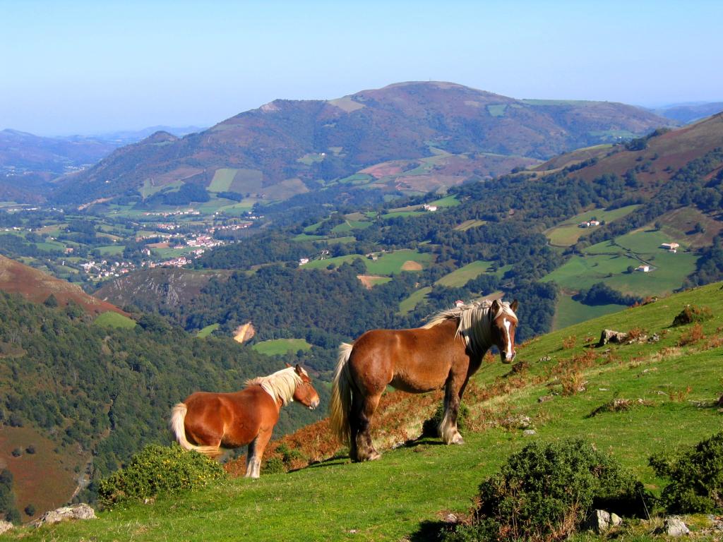 Chambres d'hôtes Idiartekoborda au coeur de la montagne basque à 5 mn du village, chambre  "RIHIVELI"