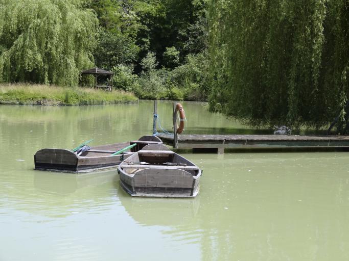 GRANDE VILLA DU CHATEAU EN TOURAINE