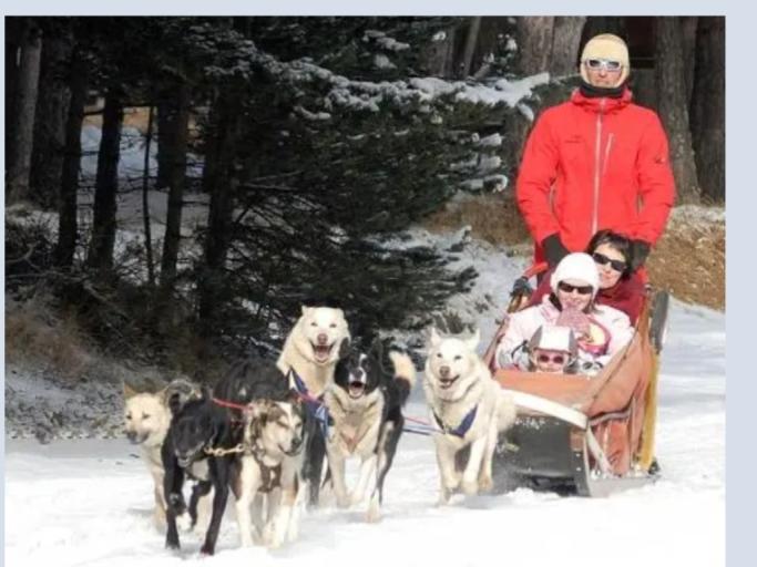 Mobil home prémium 6/8 pers