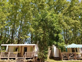 Bungalows ombragés