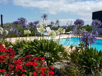 Meublé de Tourisme 4* piscine chauffée 100m de la mer Brignogan Plages