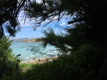 " Le Cottage aux volets bleus" est une longère pleine de charme et de grand confort. Elle est nichée dans un jardin clos, proche de la mer et des sentiers de randonnées (GR 34)