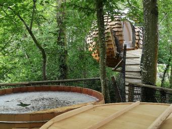 Des cabanes dans les arbres avec spa
