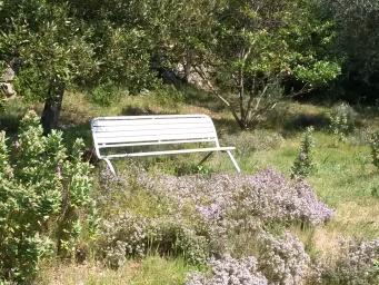 Gîte - Pleine nature - Grand calme