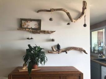 Plages et commerces au pied de l'appartement !