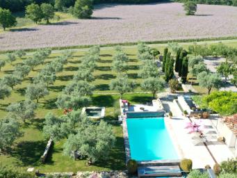 Propriété du 18e au milieu des oliviers