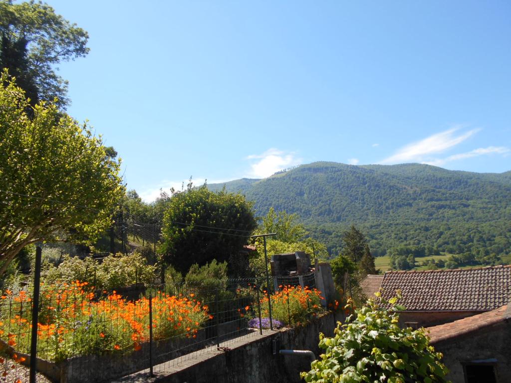 Gîte avec grande cheminée, vues sur les montagnes, animaux acceptés gratuitement, wifi