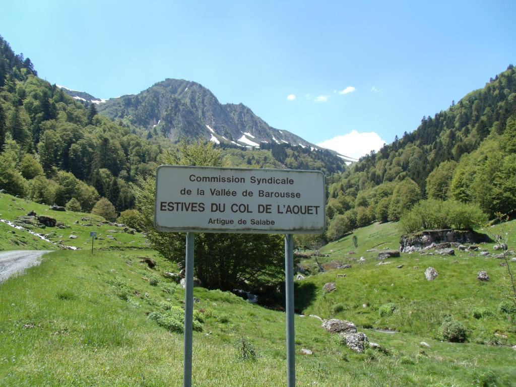 Gîte avec grande cheminée, vues sur les montagnes, animaux acceptés gratuitement, wifi