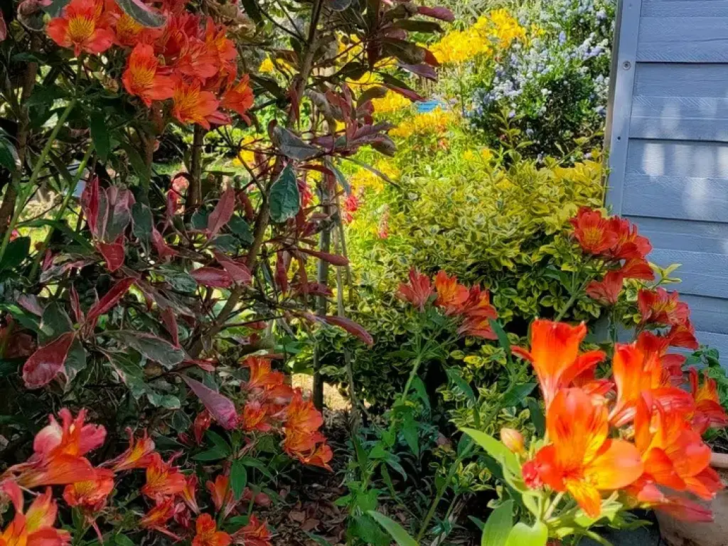 Studio et terrasse avec vue sur jardin à 3 mn de la mer