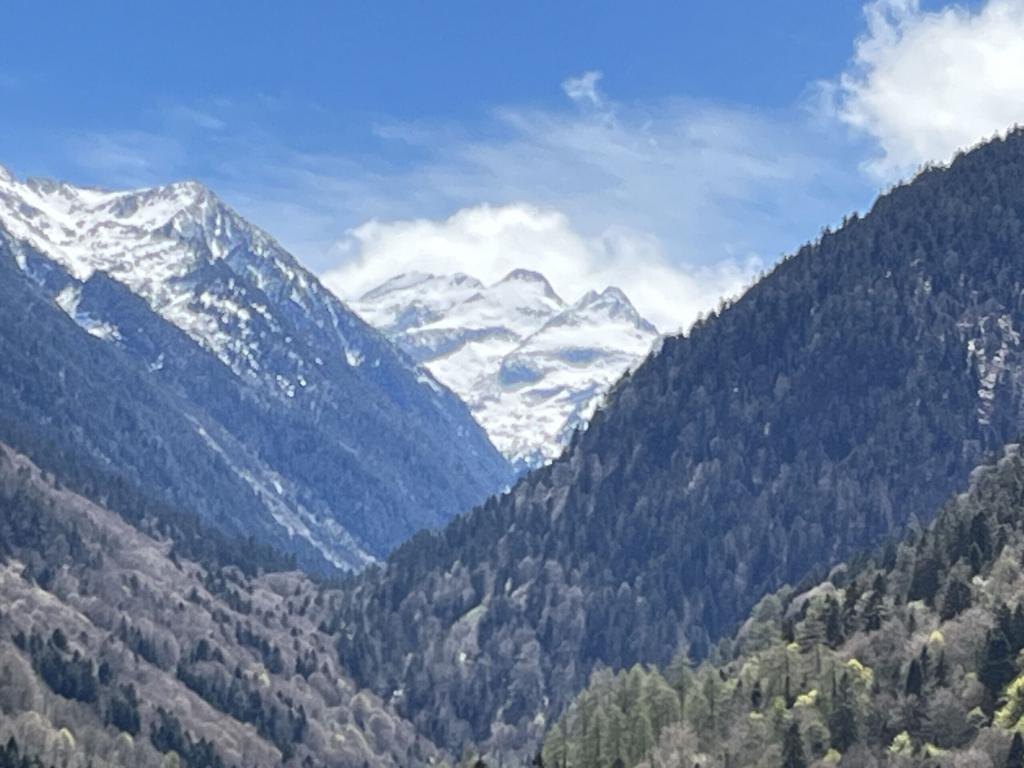 Chalet très spacieux & moderne avec grand jardin, à 800m du centre – Classé 4 ⭐