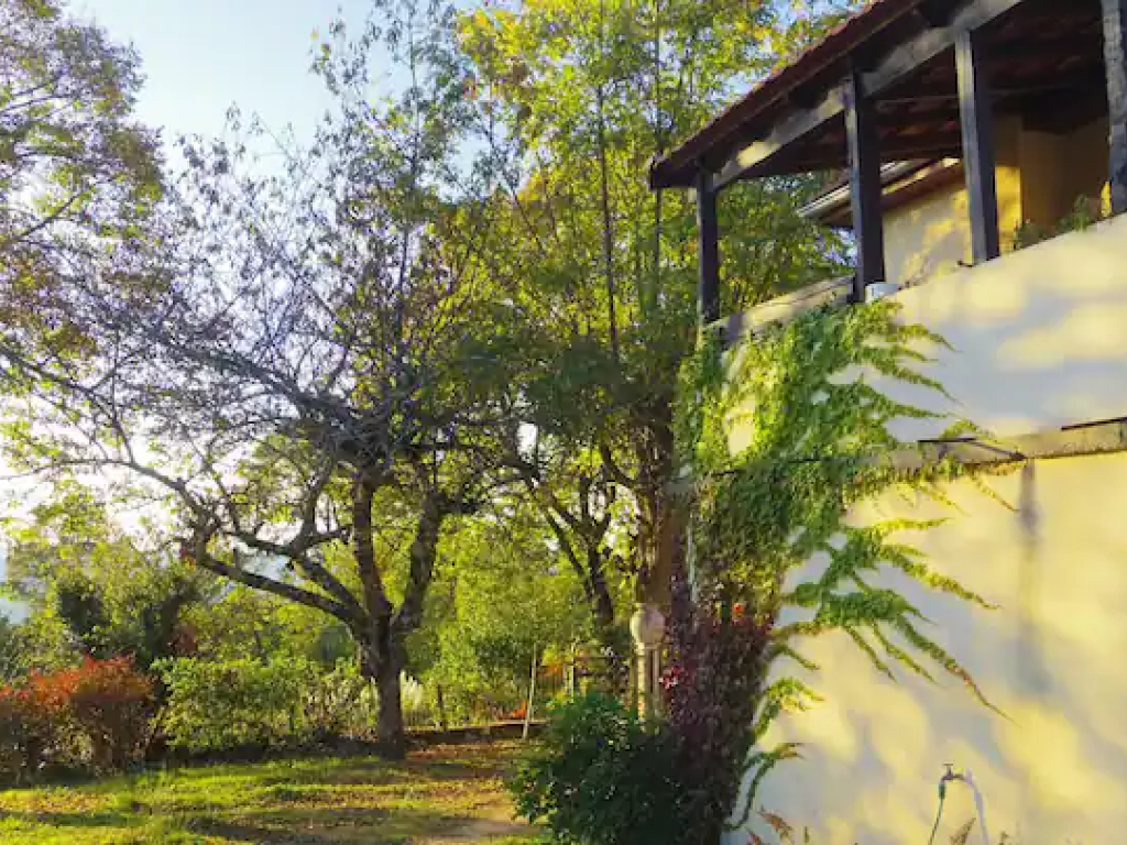 Belle maison dans la nature en plein Périgord Noir à DOMME