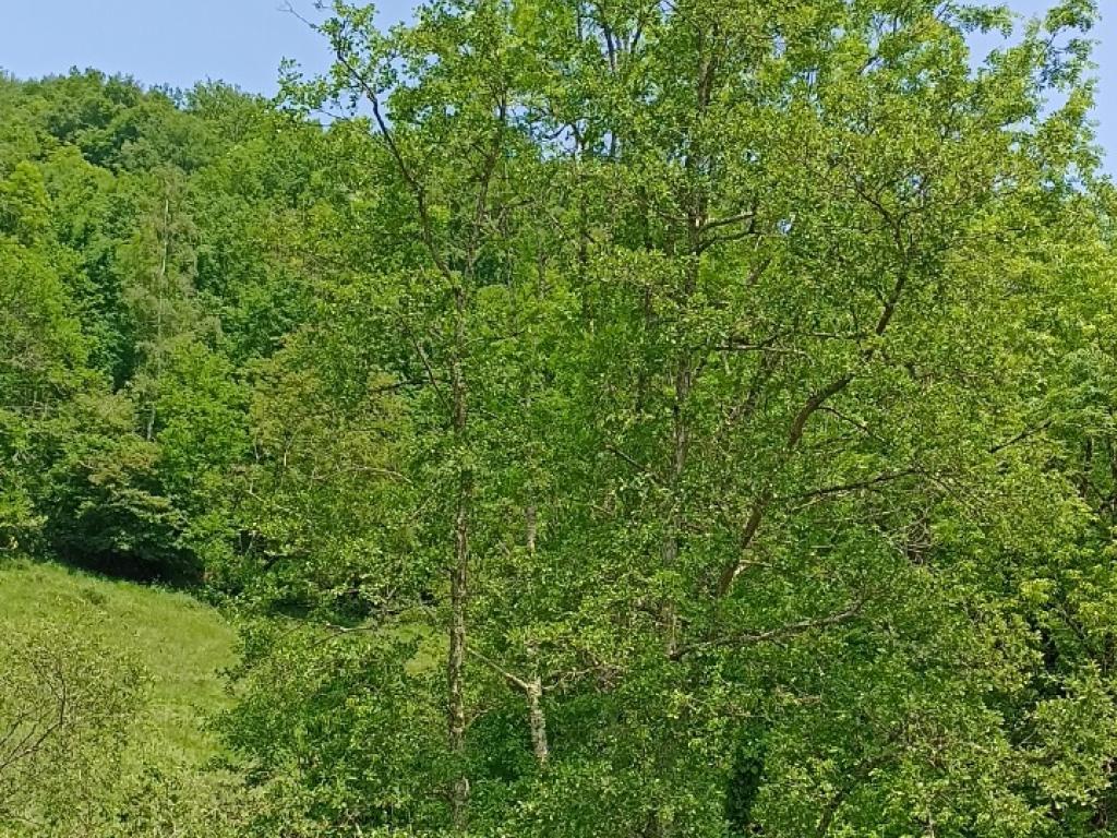 Gîte douillet au pied des pyrénées