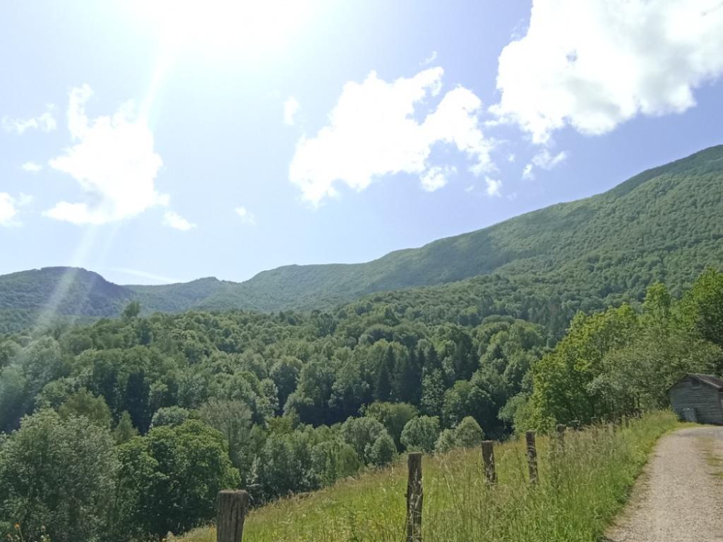 Gîte douillet au pied des pyrénées
