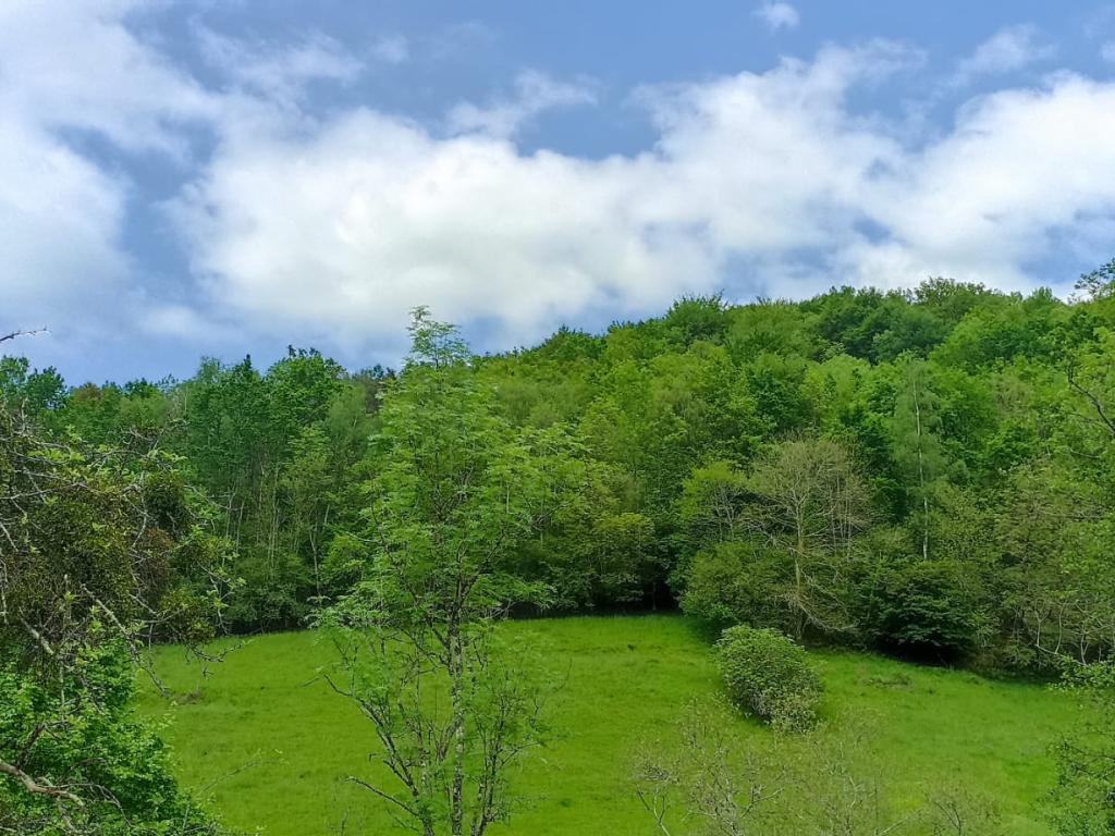 Gîte douillet au pied des pyrénées