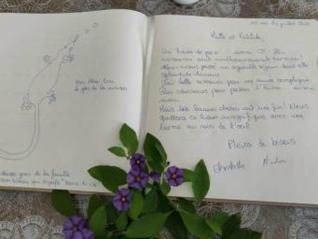 Le Jardin du Cannet : Propriété atypique dans l'esprit bergerie au cœur d'un jardin provençal ouvert toute l'année.