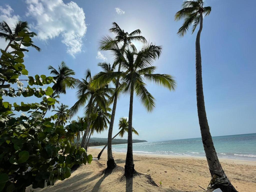 Flor de Coco, Villa neuve à 250 mètres de la plage