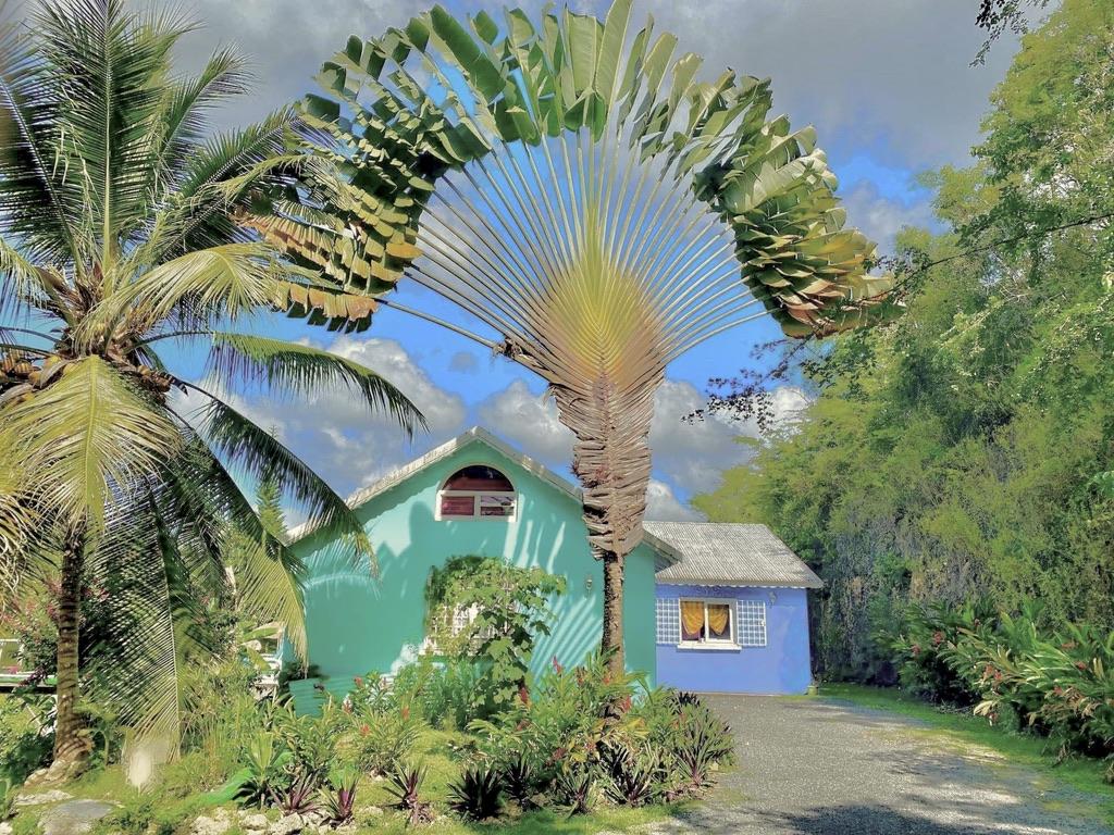 Chambres et tables d’hôtes Chez Adé Guadeloupe