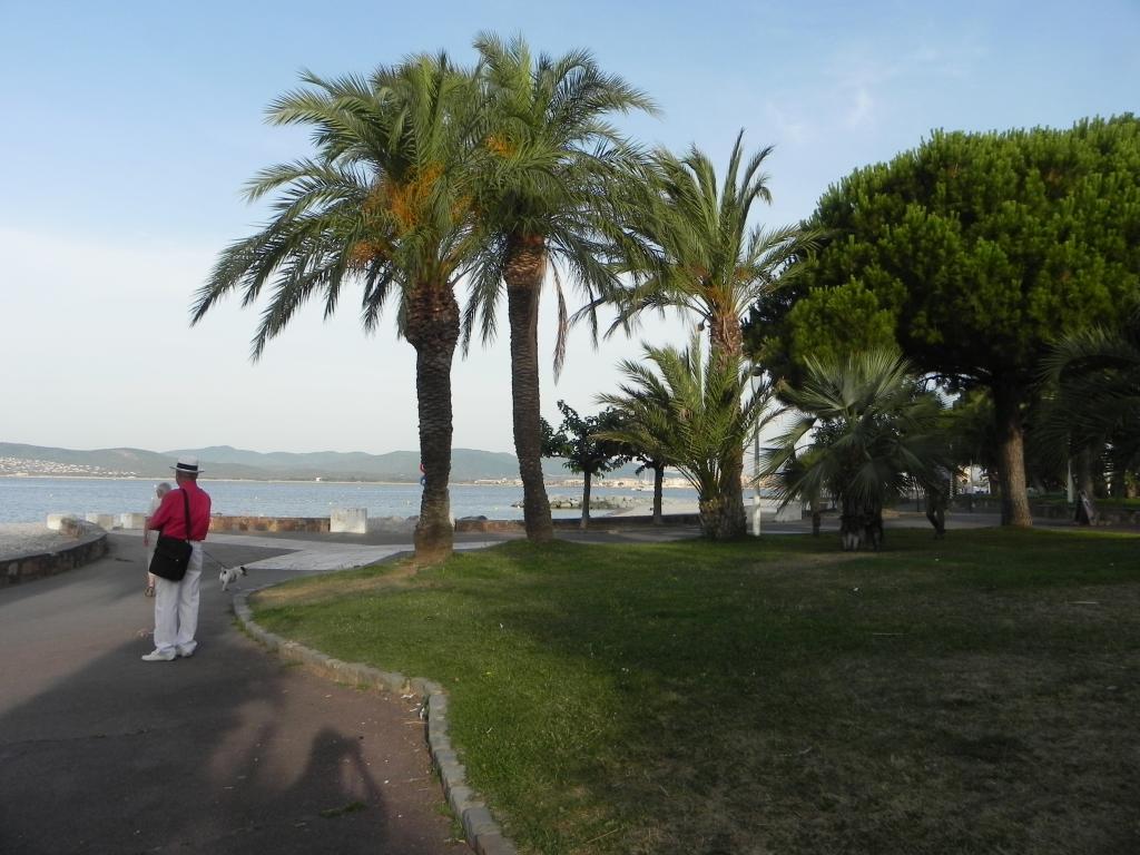 Le clos des vignes - Chambre d'hôtes 2 personnes -St-Raphaël