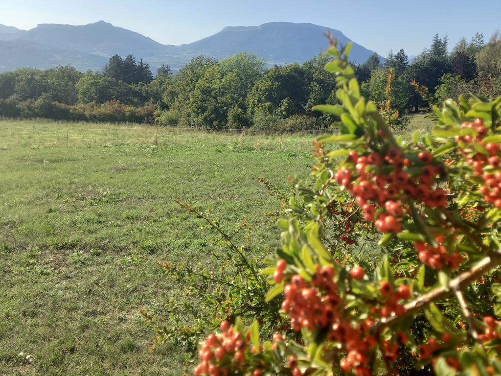 Très jolie chambre cosy alliant modernité & authenticité au calme avec vue sur la montagne Cuerate et avec accès à la piscine en saison