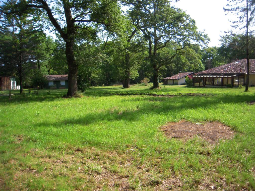 Gite chalet pour 2 au calme dans la forêt - Piscine - Le petit refuge du hameau secret