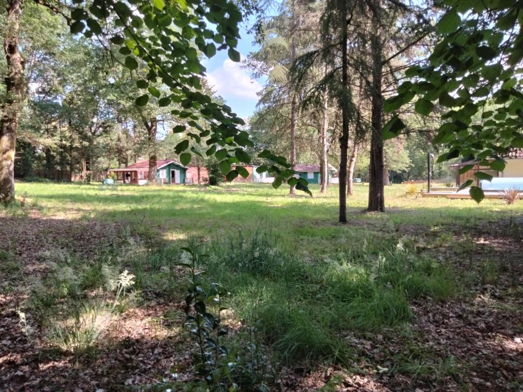 Chalet gite confortable au milieu de la forêt landaise pour 2/4 personnes (1 animal accepté) Piscine - La cabane du Résinier - Le hameau secret