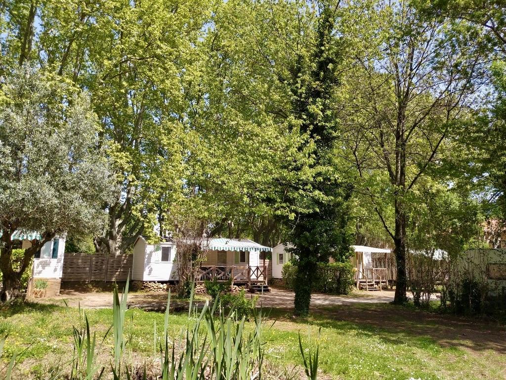 Bungalows ombragés