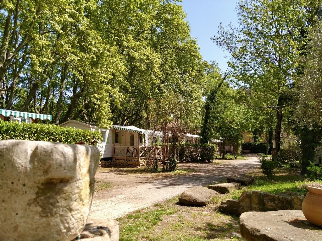 Bungalows ombragés