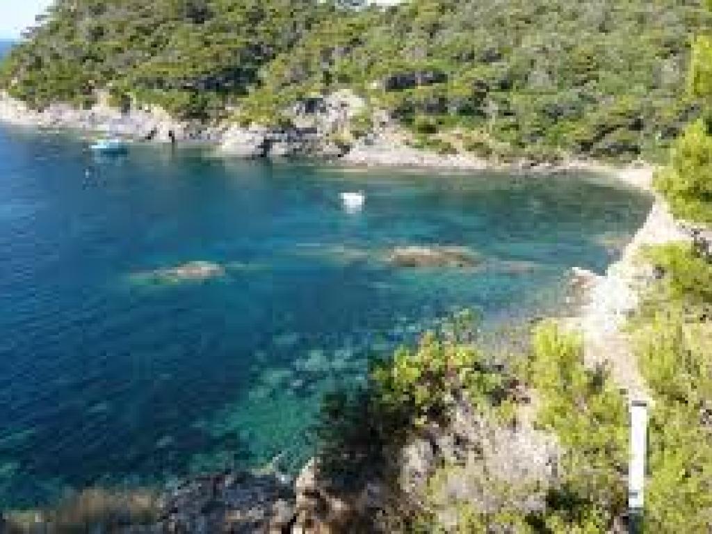 STUDIO REZ DE CHAUSSEE PROCHE PLAGE BERGERIE