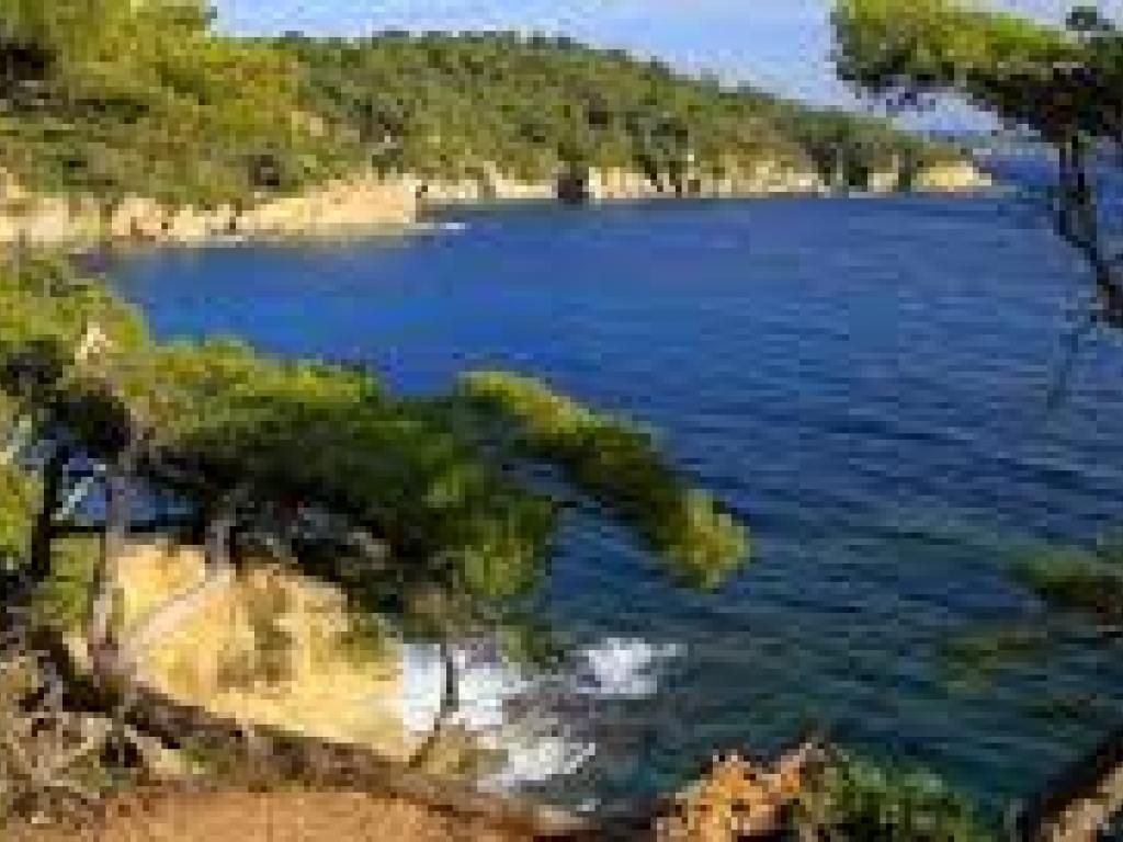 STUDIO HYERES PROCHE PLAGE N°7