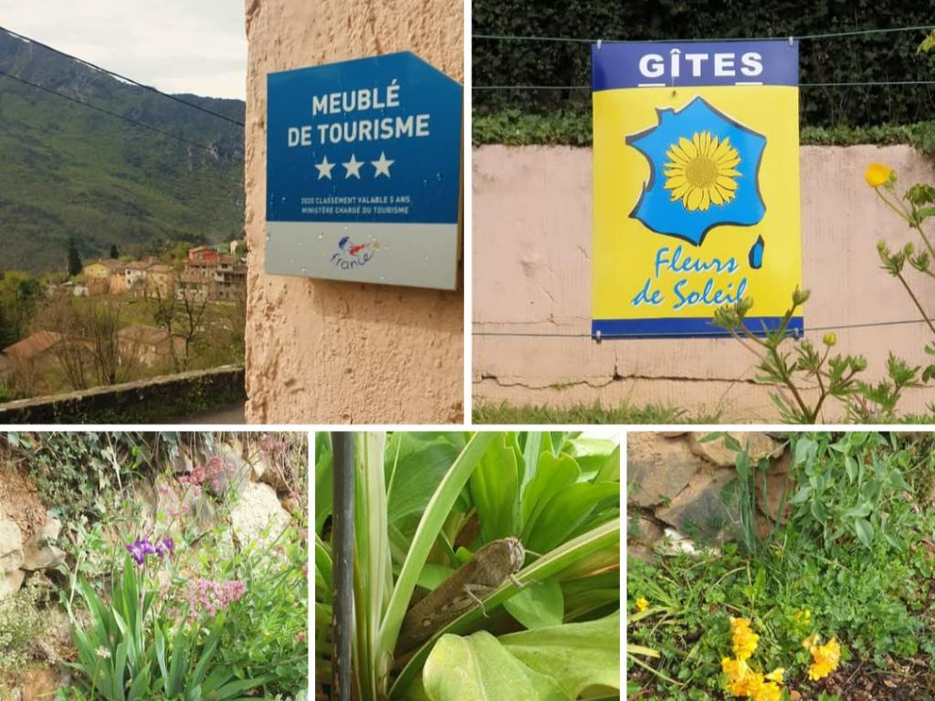 Mon gîte à Pélasque ***