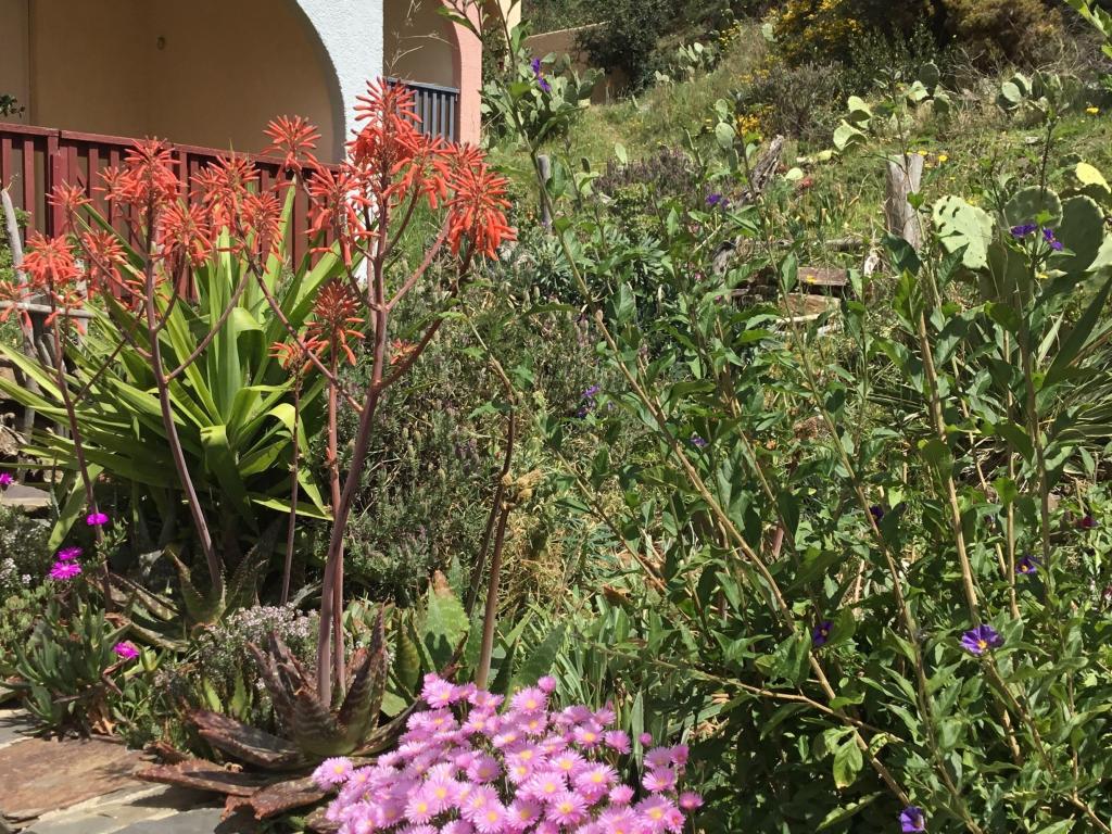 Appartement ** - climatise HAUT DE GAMME climatise, vue mer et montagne, wifi, plongée, randonnees