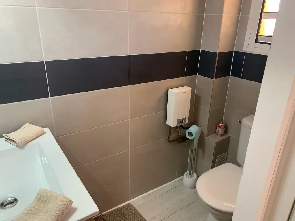 Location Appartement avec terrasse et jardinet SAINT-DENIS DOMENJOD