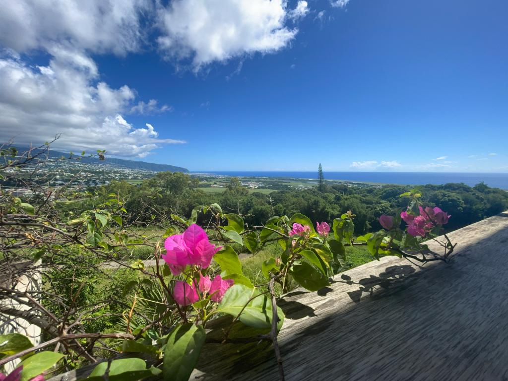Appartement LE COCON