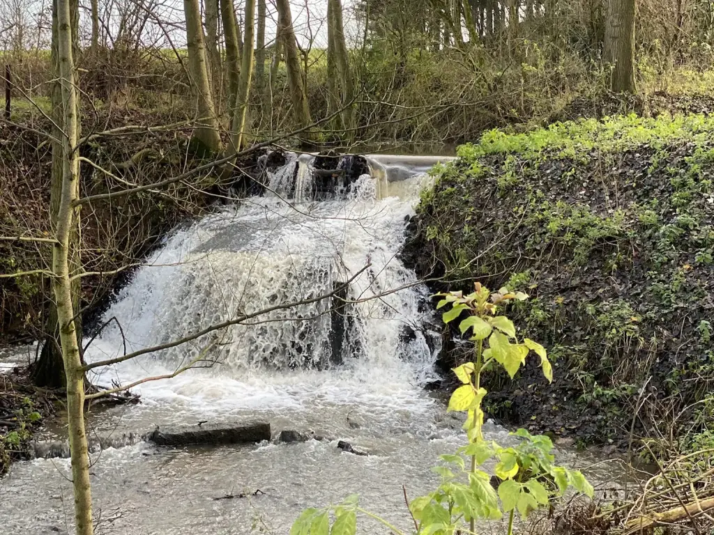 Chambre Nature