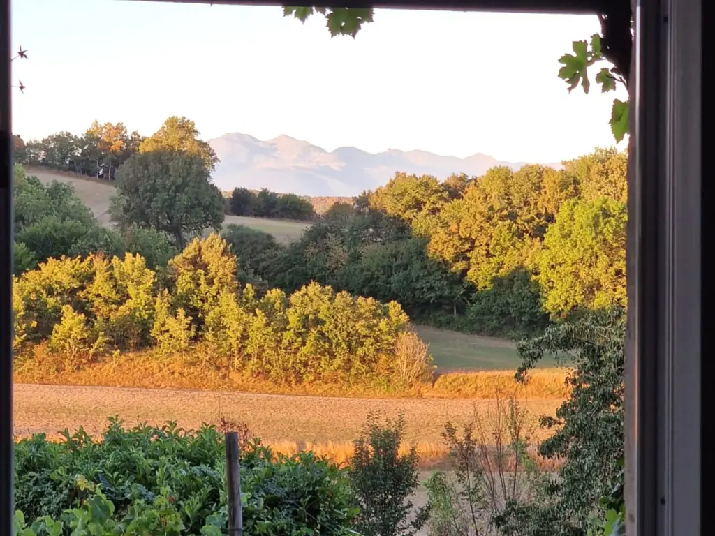 Gîte 2 personnes, vue Pyrénées, pleine nature, piscine