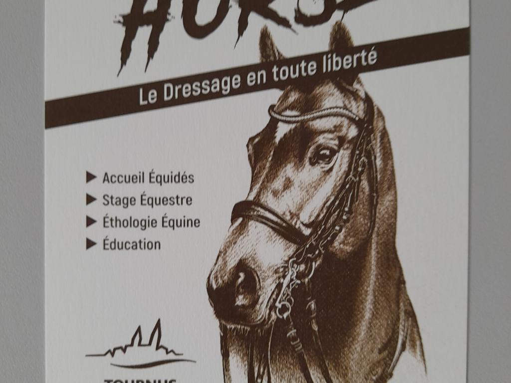SÉJOURS ÉQUESTRES EN BOURGOGNE