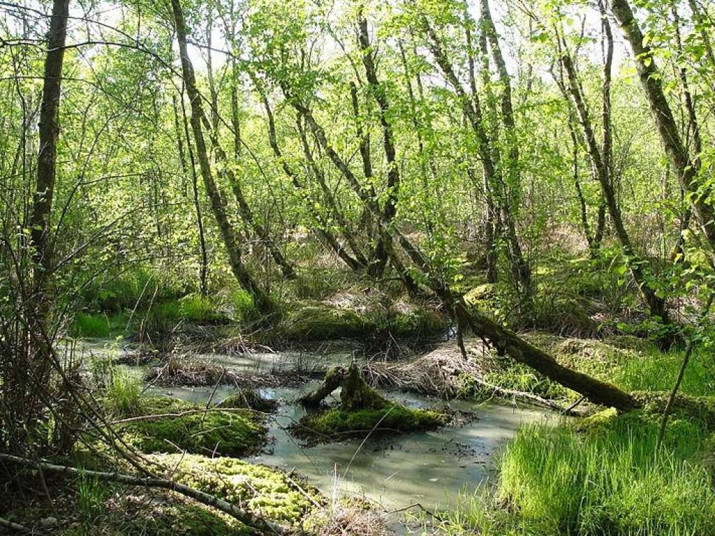 LODJ ET CABANE ASSOCIÉS