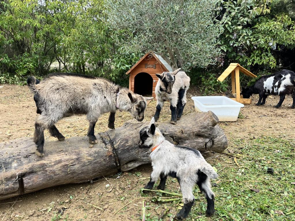 Gite indépendant dans village de vacances - 5 personnes