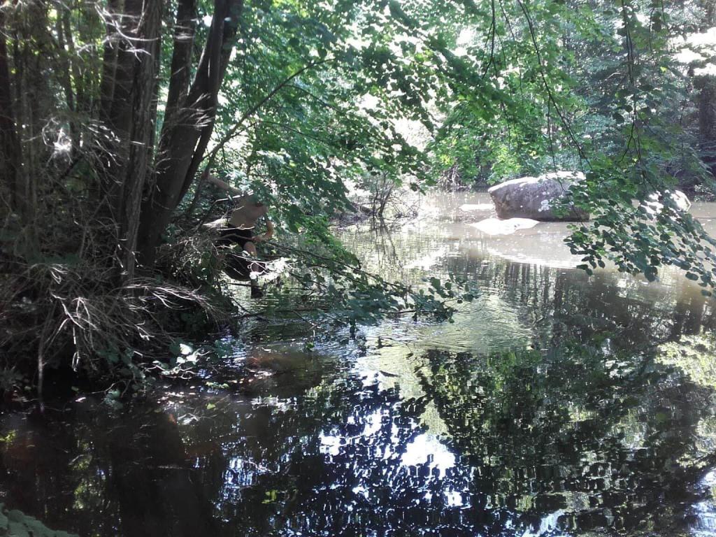 Moulin de Record Gîte LE REFUGE DU PECHEUR en bord de rivière en pleine nature