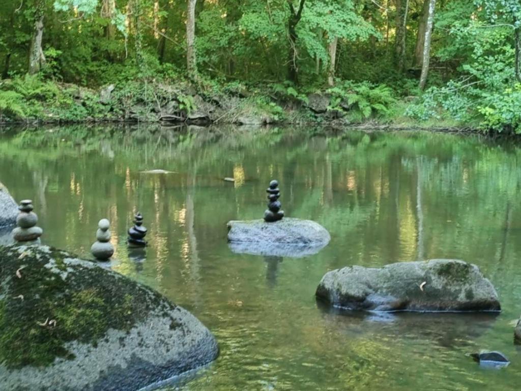 Moulin de Record - Gîte LE HAVRE SAUVAGE en bord de rivière avec accès direct