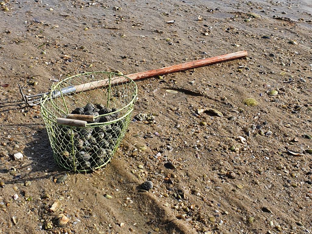 Gite 4 chambres Noirmoutier proche mer