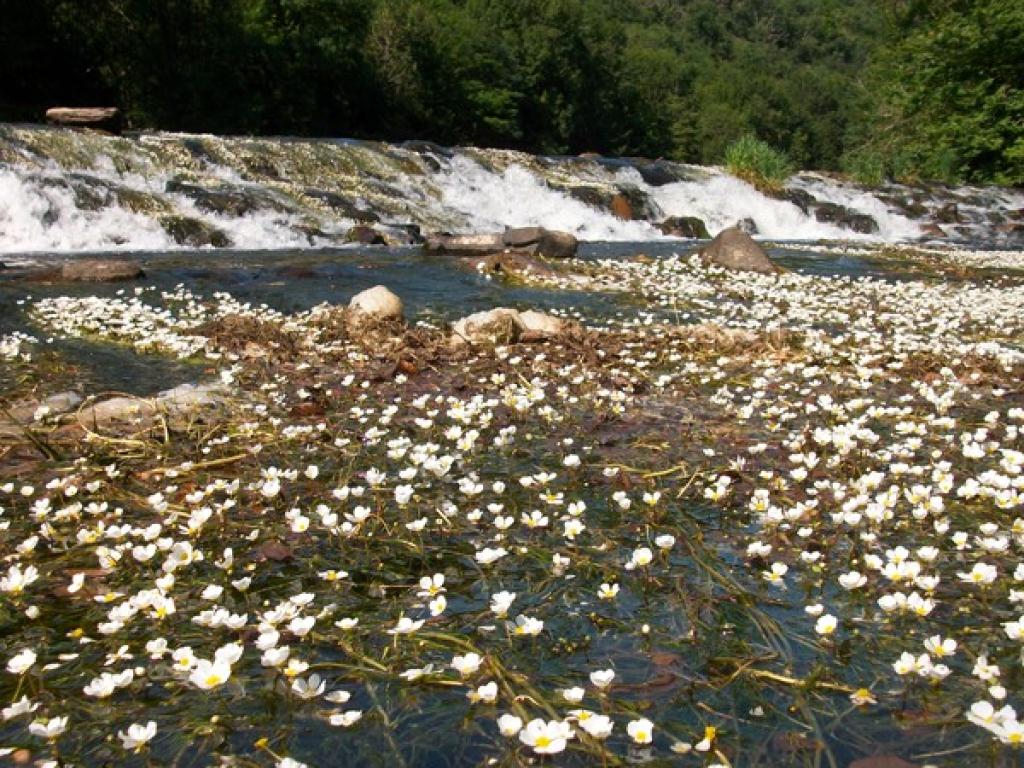 Lieu-dit Peyro Traxo,  Gîte entouré d'une belle nature Aveyronnaise ou le silence y est roi