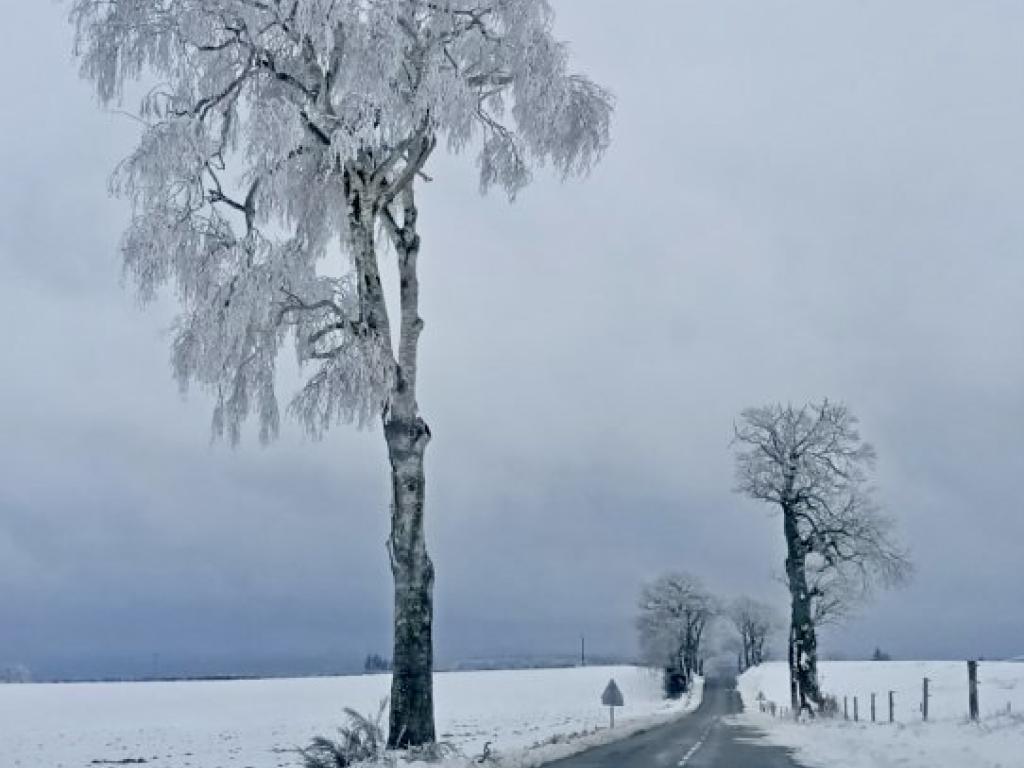 Lieu-dit Peyro Traxo,  Gîte entouré d'une belle nature Aveyronnaise ou le silence y est roi