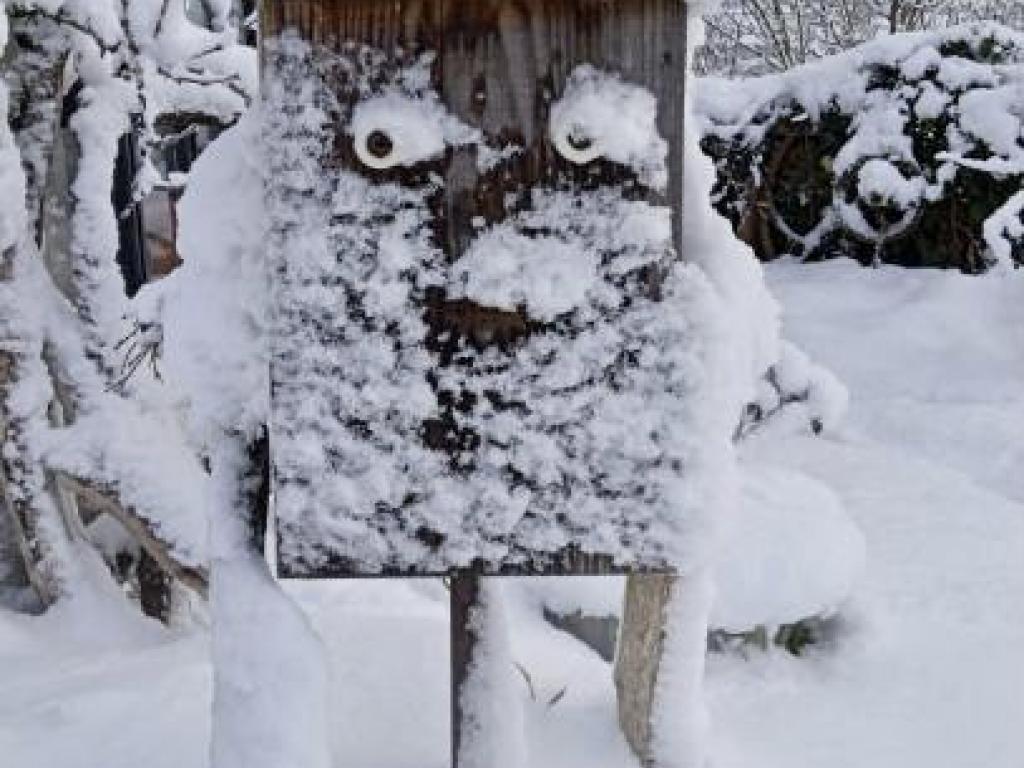 Lieu-dit Peyro Traxo,  Gîte entouré d'une belle nature Aveyronnaise ou le silence y est roi