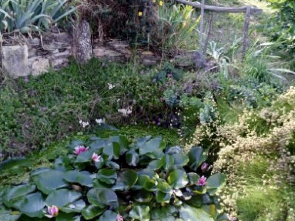 Lieu-dit Peyro Traxo,  Gîte entouré d'une belle nature Aveyronnaise ou le silence y est roi