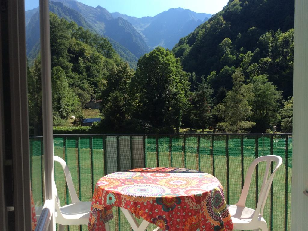 La patte de l’ours