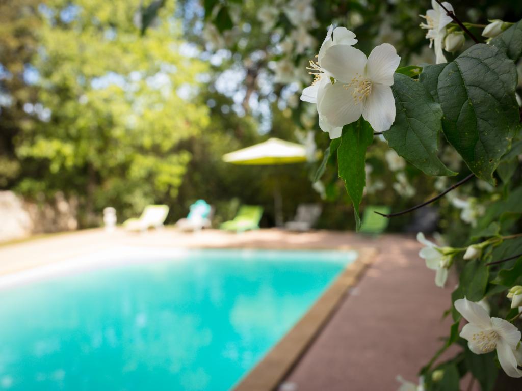 Gite pour 4 avec jardin et piscine près d'Uzès dans un petit village calme et typique
