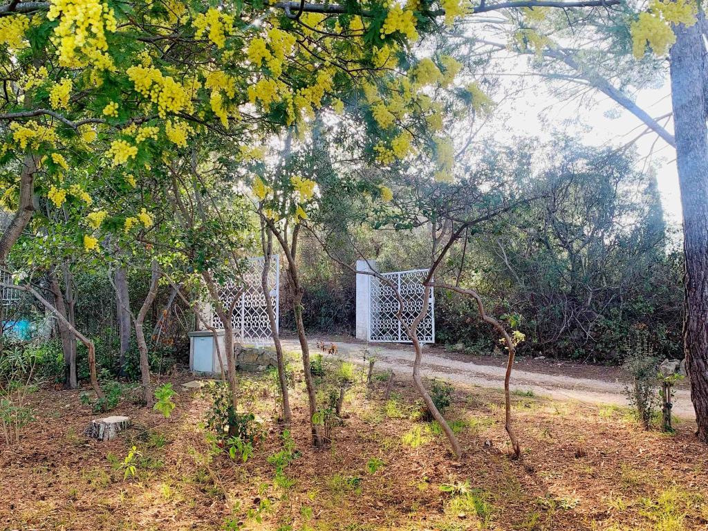 Villa familiale entièrement rénovée, sous les pins à 800m de la mer